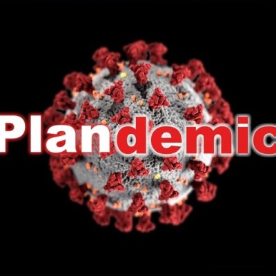 The Paradoxes of&nbsp;PlanDemic